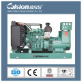 5kw-250kw China diesel power generator